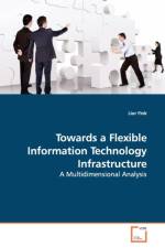 Towards a Flexible Information Technology Infrastructure af Lior Fink