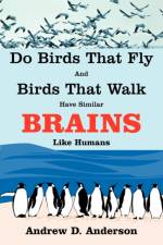 Do Birds That Fly and Birds That Walk Have Similar Brains Like Humans af Andrew D. Anderson