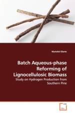 Batch Aqueous-phase Reforming of Lignocellulosic Biomass af Mariefel Olarte