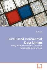 Cube Based Incremental Data Mining af Ziv Pollak