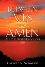 Between Yes and Amen af Carroll A Norwood