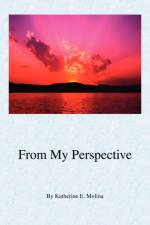 From My Perspective af Katherine E Molina