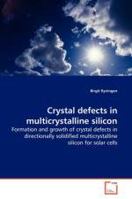Crystal defects in multicrystalline silicon af Birgit Ryningen