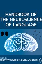 Handbook of the Neuroscience of Language af Brigitte Stemmer
