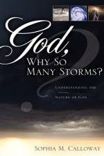 God, Why So Many Storms? af Sophia M Calloway