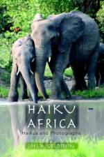 Haiku Africa af Joel H Goldstein