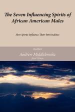 The Seven Influencing Spirits of African American Males af Andrew Middlebrooks