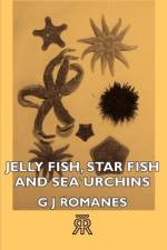 Jelly Fish, Star Fish And Sea Urchins af G J Romanes