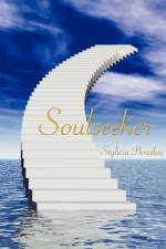 Soulseeker af Stylicia Bowden