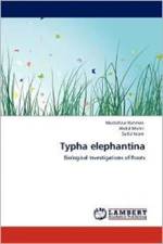 Typha elephantina af Abdul Muhit