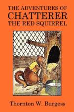 Adventures of Chatterer the Red Squirrel af Thornton W Burgess