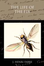 The Life of the Fly af J Henri Fabre