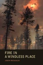 Fire in a Windless Place