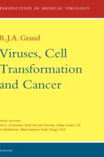 Viruses, Cell Transformation, and Cancer