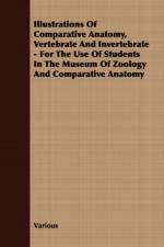 Illustrations Of Comparative Anatomy, Vertebrate And Invertebrate - For The Use Of Students In The Museum Of Zoology And Comparative Anatomy af Various
