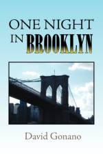 One Night in Brooklyn af David Gonano
