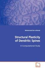 Structural Plasticity of Dendritic Spines af Muhammad Dur-E-Ahmad