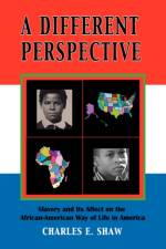 A Different Perspective af Charles E Shaw