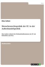 Menschenrechtspolitik der EU in der Aussenhandelspolitik af Elisa Callsen