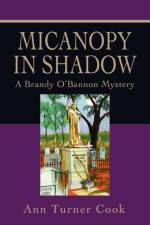 Micanopy in Shadow af Ann Turner Cook