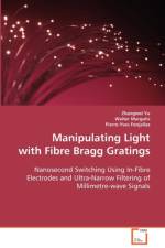Manipulating Light with Fibre Bragg Gratings af Walter Margulis