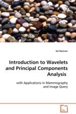 Introduction to Wavelets and Principal Components Analysis af Sol Neeman