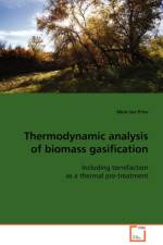 Thermodynamic analysis of biomass gasification af Mark Jan Prins