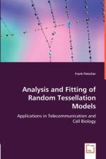Analysis and Fitting of Random Tessellation Models af Frank Fleischer