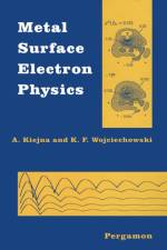 Metal Surface Electron Physics af A. Kiejna