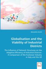 Globalisation and the Viability of Industrial Districts af Alessandra (London College of Fashion University of London Arts United Kingdom) Vecchi