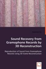 Sound Recovery from Gramophone Records by 3D Reconstruction af Baozhong Tian