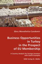 Business Opportunities in Turkey in the Prospect of EU Membership af Ebru Monelletta-Candemir
