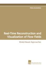 Real-Time Reconstruction and Visualization of Flow Fields af Polina Kondratieva