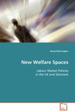 New Welfare Spaces af David Etherington