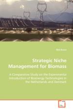 Strategic Niche Management for Biomass af Rob Raven
