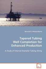 Tapered Tubing Well Completion for Enhanced Production af Bertrand O Affanaambomo