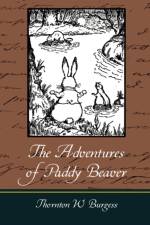 The Adventures of Paddy Beaver af Thornton W Burgess