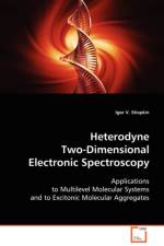 Heterodyne Two-Dimensional Electronic Spectroscopy af Igor V Stiopkin