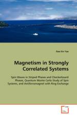 Magnetism in Strongly Correlated Systems af Dao-Xin Yao