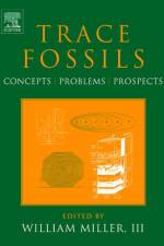Trace Fossils