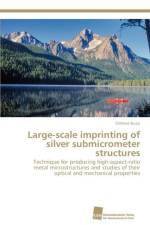 Large-scale imprinting of silver submicrometer structures af Stefano Buzzi