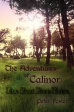 Adventures of Calinor / The Lost Pixie Tribe af Peter (The Open University) Foster