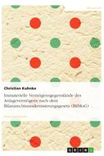 Immaterielle Vermoegensgegenstande des Anlagevermoegens nach dem Bilanzrechtsmodernisierungsgesetz (BilMoG) af Christian Kuhnke