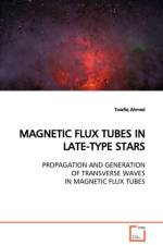Magnetic Flux Tubes in Late-Type Stars Propagation and Generation of Transverse Waves in Magnetic Flux Tubes af Towfiq Ahmed