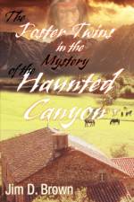 The Foster Twins in the Mystery of the Haunted Canyon af Jim D Brown