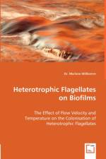 Heterotrophic Flagellates on Biofilms - The Effect of Flow Velocity and Temperature on the Colonisation of Heterotrophic Flagellates af Marlene Willkomm