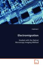 Electromigration af Linghong Li