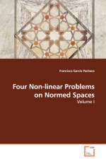 Four Non-linear Problems on Normed Spaces - Volume I af Francisco Garcia Pacheco