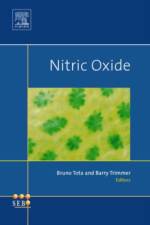 Nitric Oxide af Bruno Tota