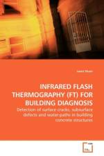 Infrared Flash Thermography (Ft) for Building Diagnosis af Janet Sham